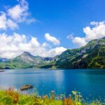 Blütenzauber der Alpen: Die faszinierende Vielfalt der Blumen in Österreich