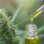 Was ist der Unterschied zwischen Bio CBD Öl und herkömmlichen CBD Öl?