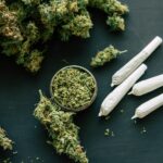 Cannabiskonsum in Österreich bis auf Ausnahmen weiterhin nicht legal