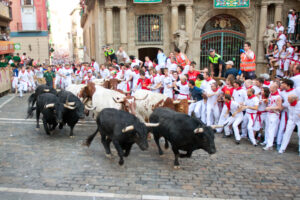 Entdecken Sie Pamplonas Sehenswürdigkeiten, Gastronomie und Sanfermines