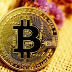 Bitcoin als Inflationsschutz: Wie sinnvoll ist die Investition für Österreicher?