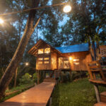 Ein Baumhaus mitten im Wald, abgehoben vom Alltag und getragen von starken Ästen – die Idee klingt nach Kindheitstraum und Abenteuer zugleich.