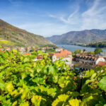Weinurlaub in Österreich: Welche Weinregion passt zu Ihrem Kurzurlaub?